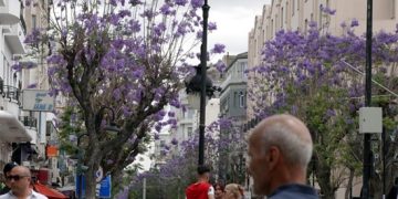 Almaty – Father of Apples