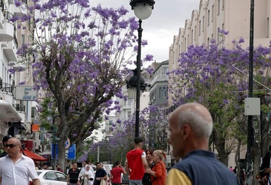 Almaty – Father of Apples