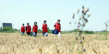 China pledges greater credit support to stabilize economy