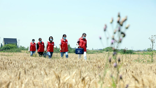 China pledges greater credit support to stabilize economy