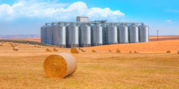 A hungry world is a more dangerous place to govern