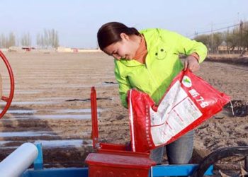 China’s Xinjiang  condemns  U.S. “forced labor” act