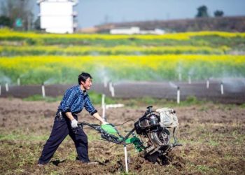 China to enhance legal protection of farmlands
