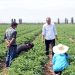 Xinjiang farmers indignant about being labeled by U.S. lies