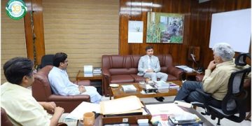 Is there a way to soften the blow of economic downturns?