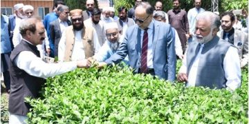 The Queen of Central Asia – Syr Darya