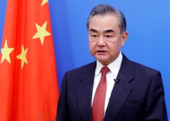 China is committed to promoting global development: Wang Yi