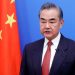 China is committed to promoting global development: Wang Yi