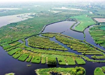 China never wavers  in carbon commitment