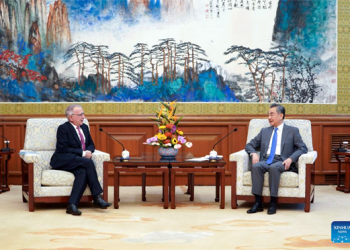 Chinese FM meets with  outgoing EU Ambassador
