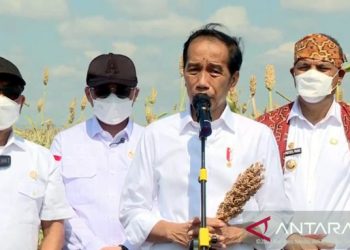 Iran’s Interests And Policy In The Middle East