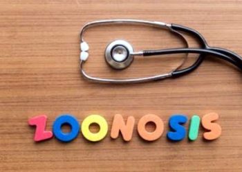 G20 Indonesia: G20 efforts in tackling zoonotic disease threat