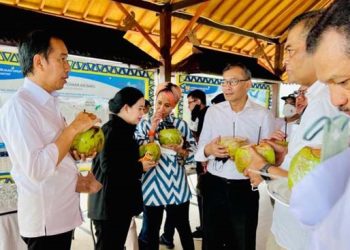 The Queen of Central Asia – Syr Darya