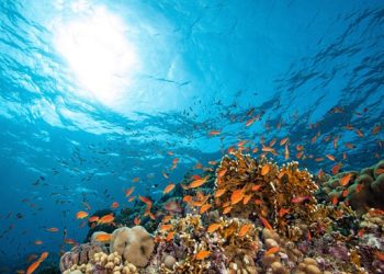 Malaysia renews pledge to abolish mandatory death penalty