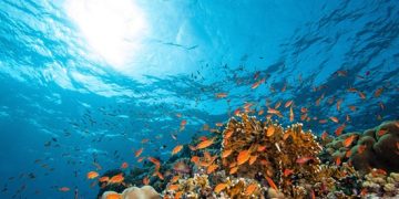 Malaysia renews pledge to abolish mandatory death penalty