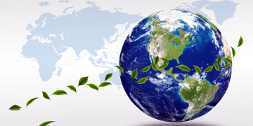 World Environment Day: How can China go greener?