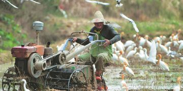 President calls for  action to protect nature