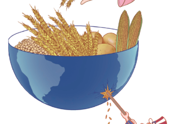 China’s aid strengthens global food security
