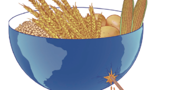 China’s aid strengthens global food security