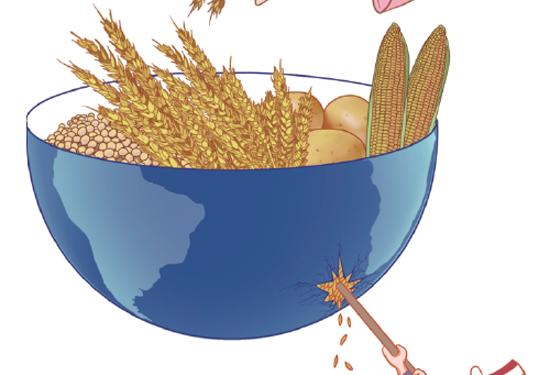 China’s aid strengthens global food security