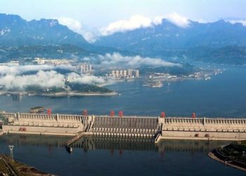 Jokowi advises supporters against election haste