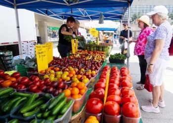 The Queen of Central Asia – Syr Darya