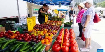 The Queen of Central Asia – Syr Darya