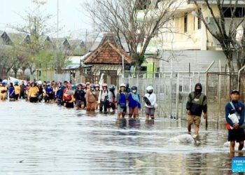 Indonesia’s steps to become world’s halal center