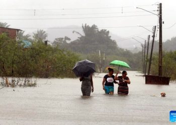 Tebet Eco-Park emerges as oasis in busy Jakarta