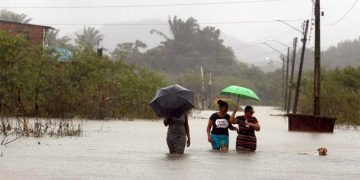 Tebet Eco-Park emerges as oasis in busy Jakarta
