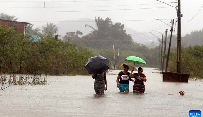Tebet Eco-Park emerges as oasis in busy Jakarta