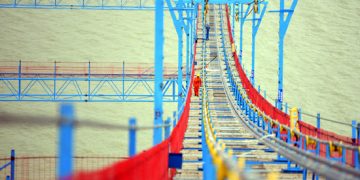 China reaps bumper summer harvest securing food security