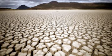 Need to build a more resilient Arab world