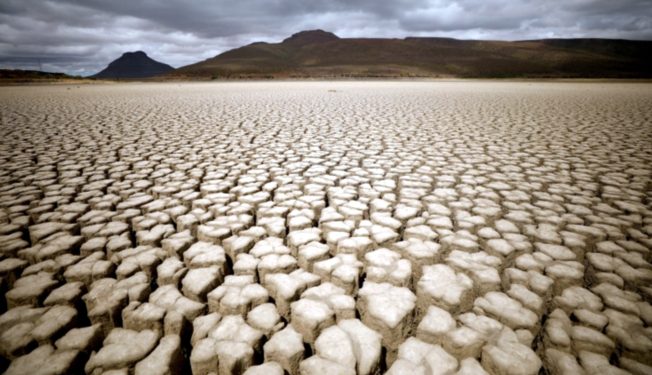 Need to build a more resilient Arab world