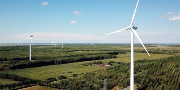 China  cuts carbon  emissions per unit of GDP by half from 2005