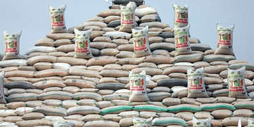 Who’s to blame  for the global food  crisis and how to fix it?