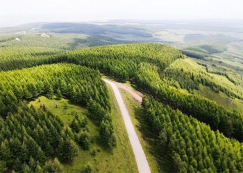 Xi leads China’s fight against desertification with historic change