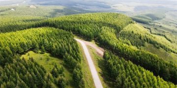 Xi leads China’s fight against desertification with historic change