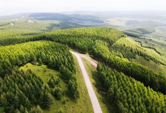 Xi leads China’s fight against desertification with historic change