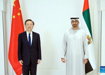 UAE President meets  senior Chinese diplomat on bilateral ties, cooperation