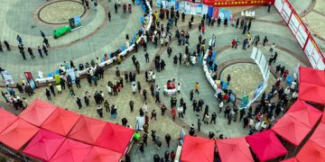 China to take further  steps for job growth and employment stability