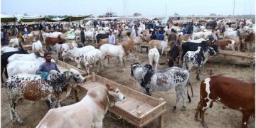 Bus falls into deep gorge  in northern India, killing 16