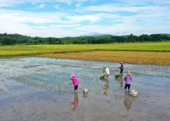 Xi: Safeguard rural  heritage of the world