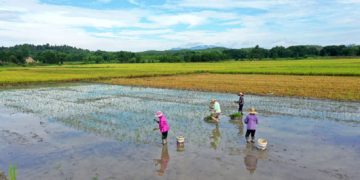 Xi: Safeguard rural  heritage of the world
