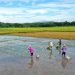 Xi: Safeguard rural  heritage of the world