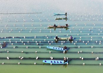 Zhejiang’s development powers ahead