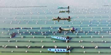 Zhejiang’s development powers ahead