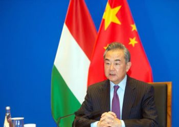 Chinese, Hungarian  FMs hold phone talks  on bilateral ties, Ukraine