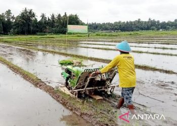 Mutual cooperation helps to avert food crisis in Indonesia