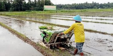 Mutual cooperation helps to avert food crisis in Indonesia